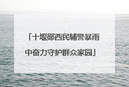 十堰郧西民辅警暴雨中奋力守护群众家园